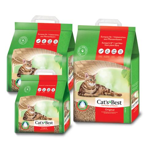 best litter for kittens|kittens for sale in south jersey.